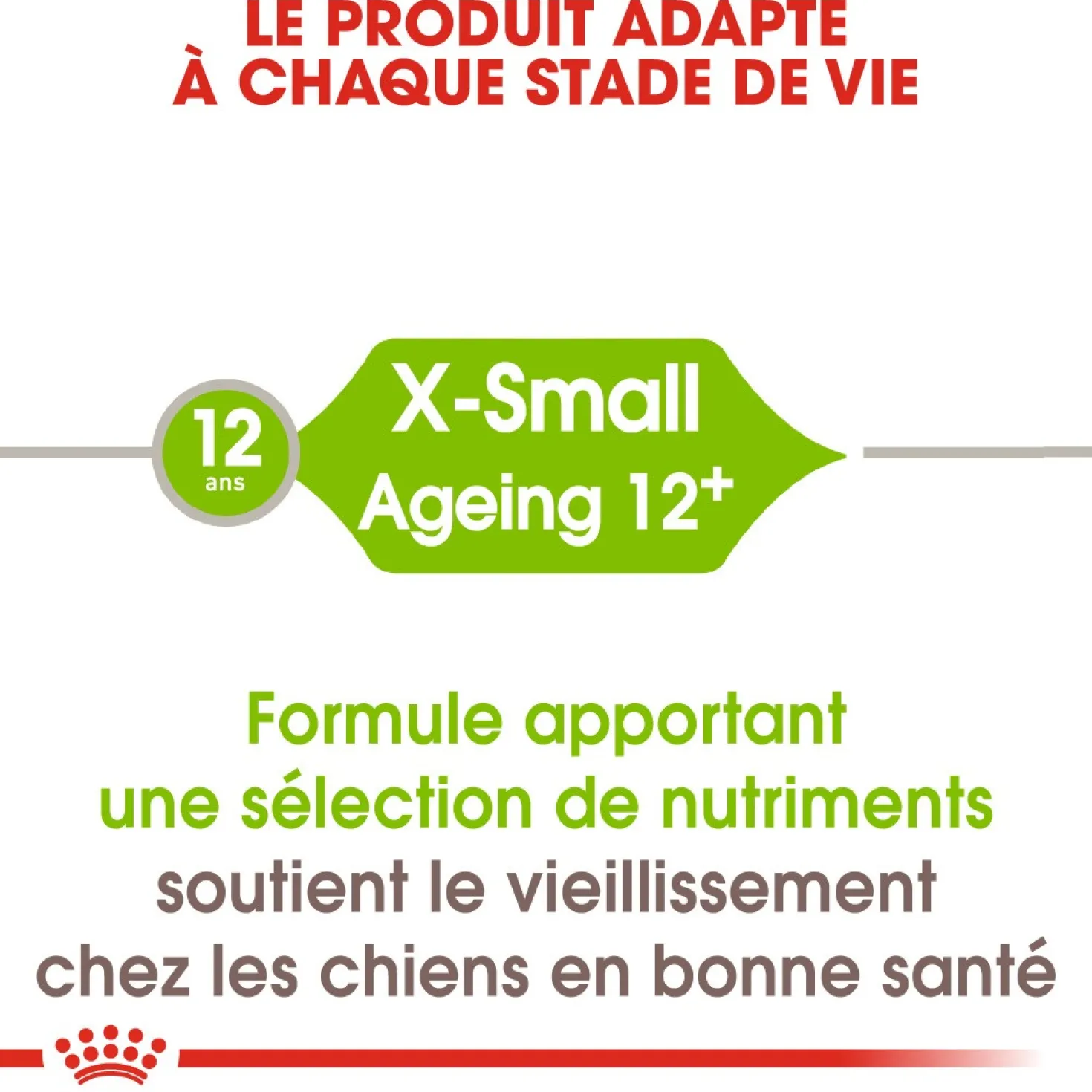 Royal Canin X-Small Ageing 12