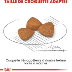 Royal Canin X-Small Ageing 12