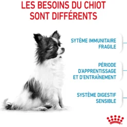 Royal Canin X-Small Puppy - croquettes chiot