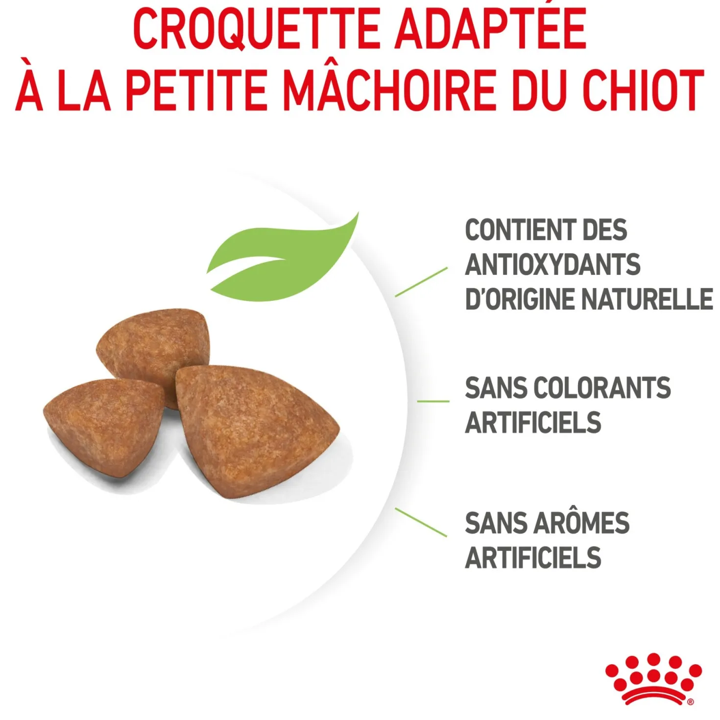 Royal Canin X-Small Puppy - croquettes chiot