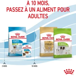 Royal Canin X-Small Puppy - croquettes chiot