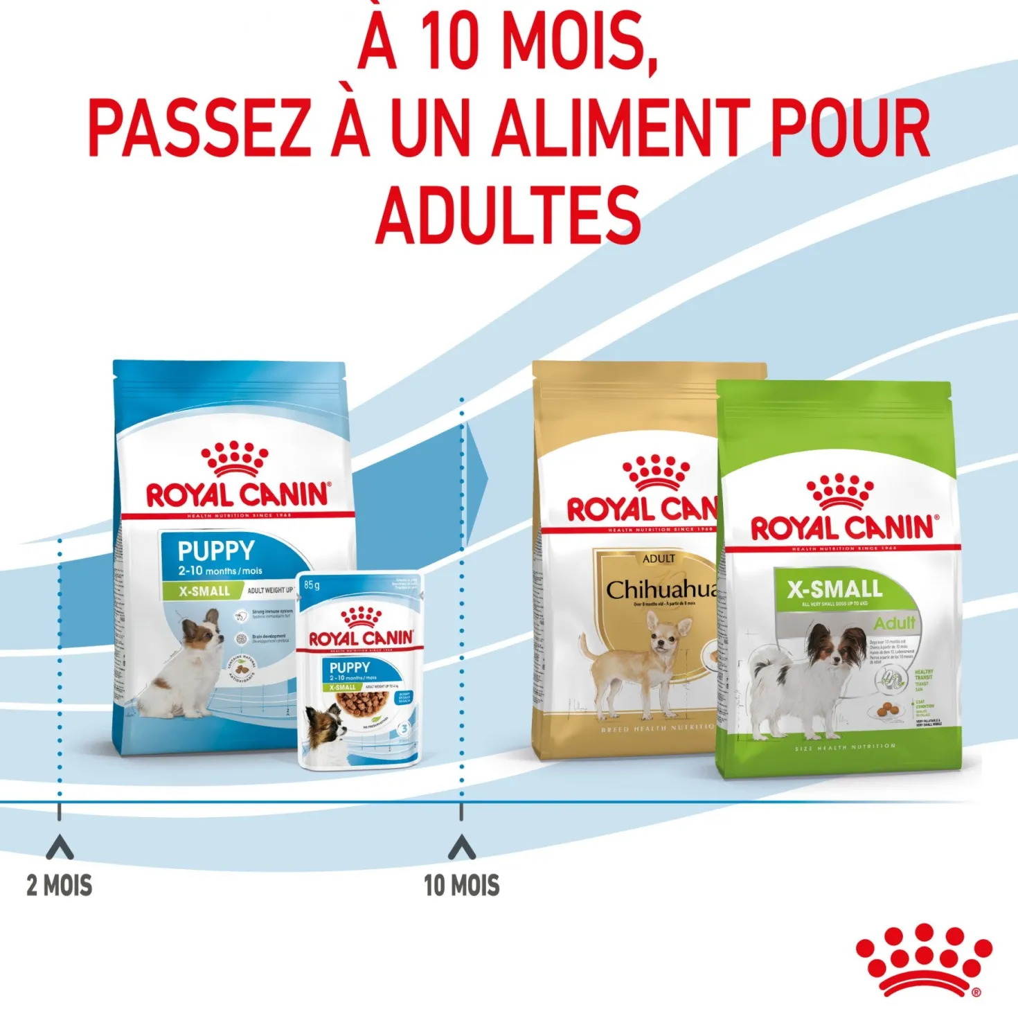 Royal Canin X-Small Puppy - croquettes chiot