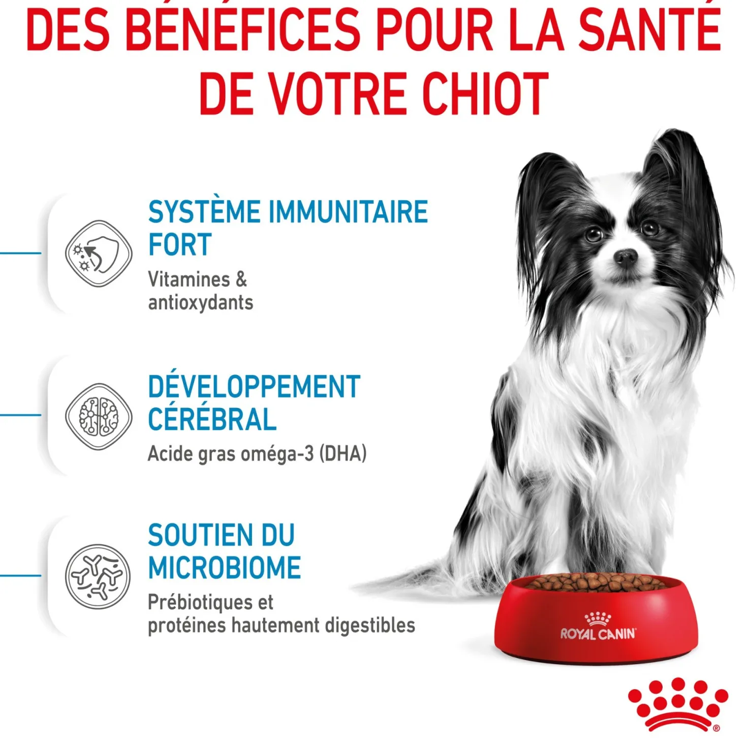 Royal Canin X-Small Puppy - croquettes chiot