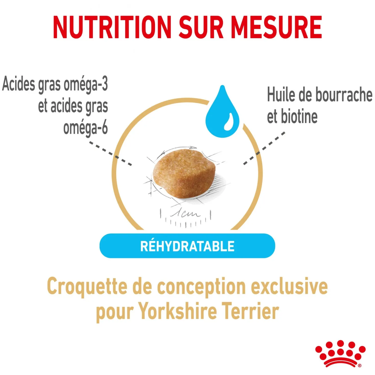Royal Canin Yorkshire Terrier Adult 8+ - Croquettes pour chien