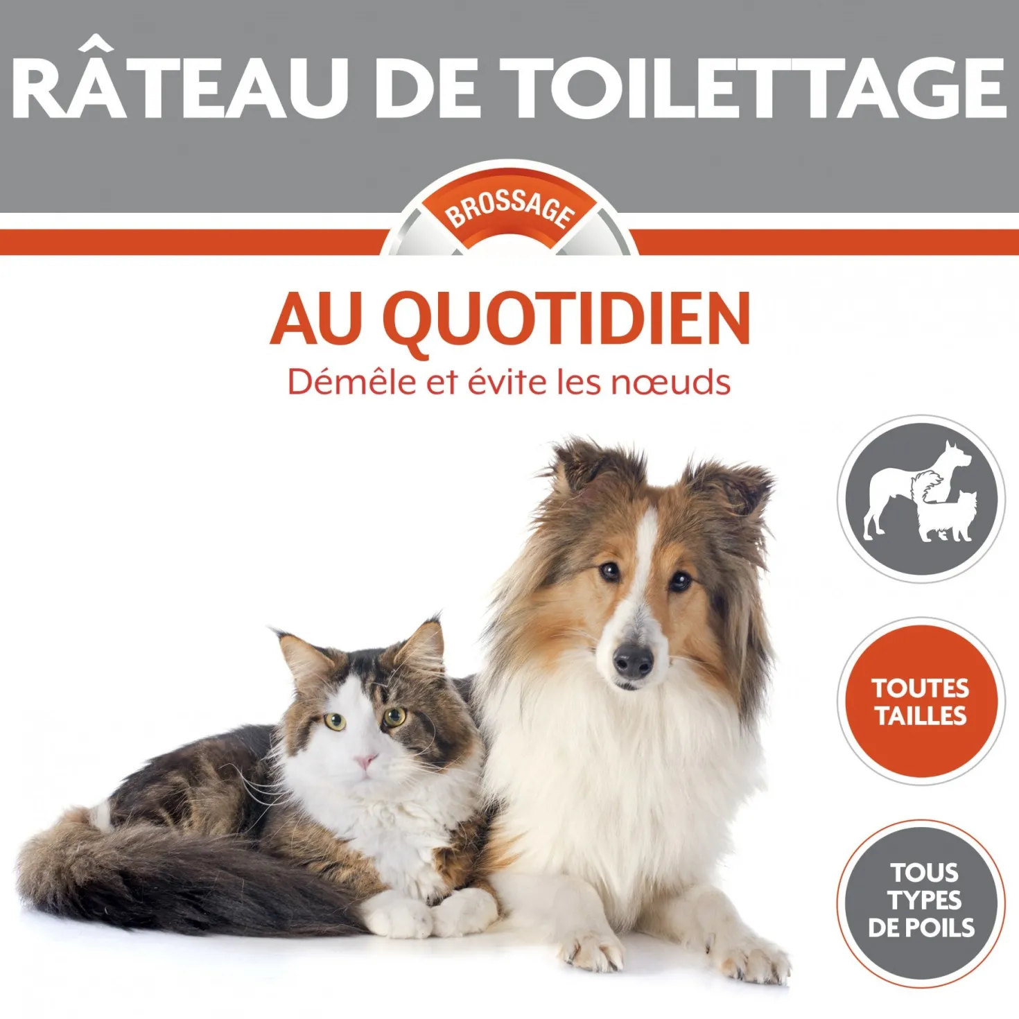 Râteau de toilettage chien, chat