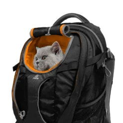 Sac à dos G-Train K9 chat, chien
