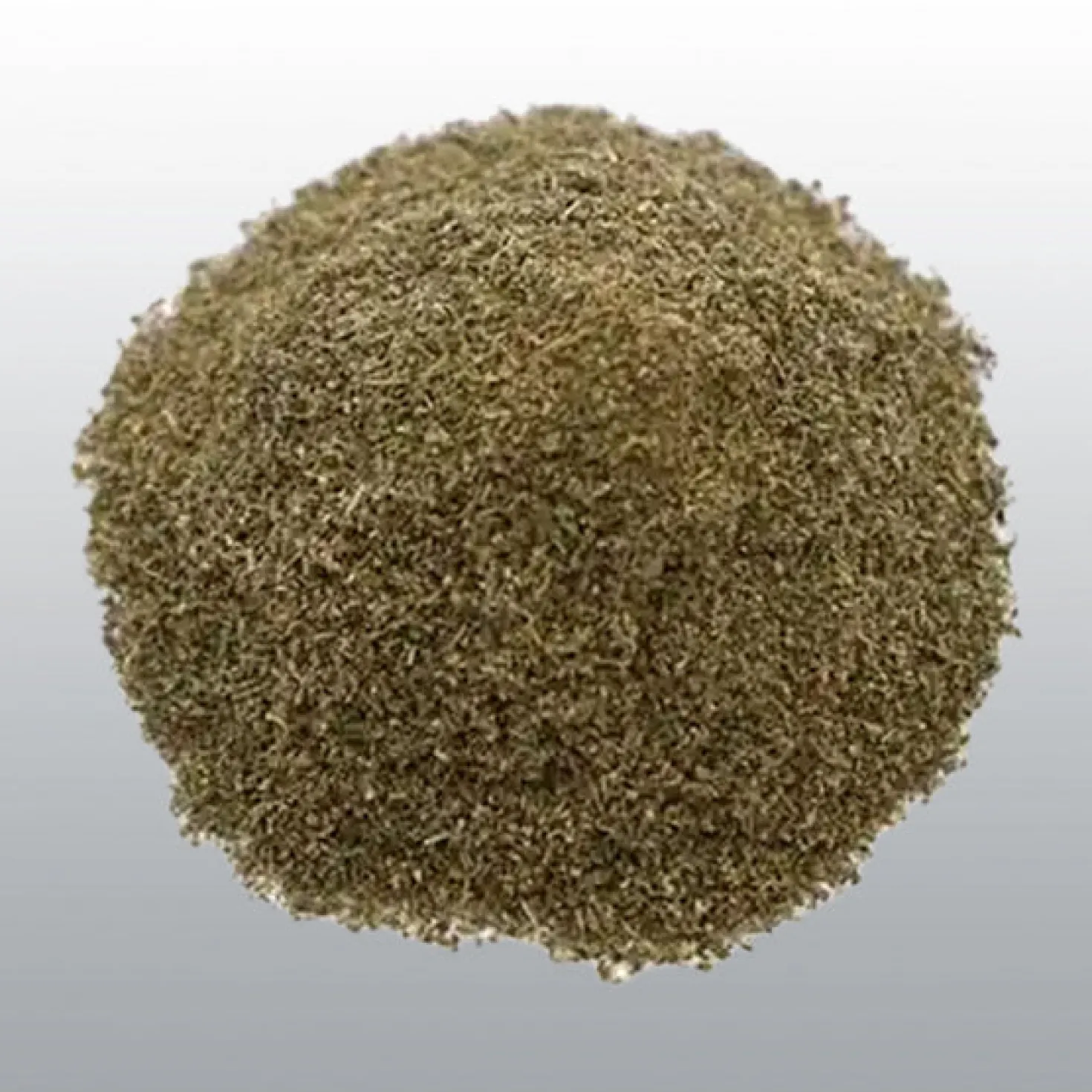 Sachet d'herbe à chat variété Nepeta Cataria