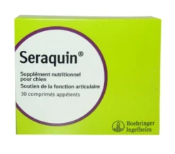 Seraquin chien