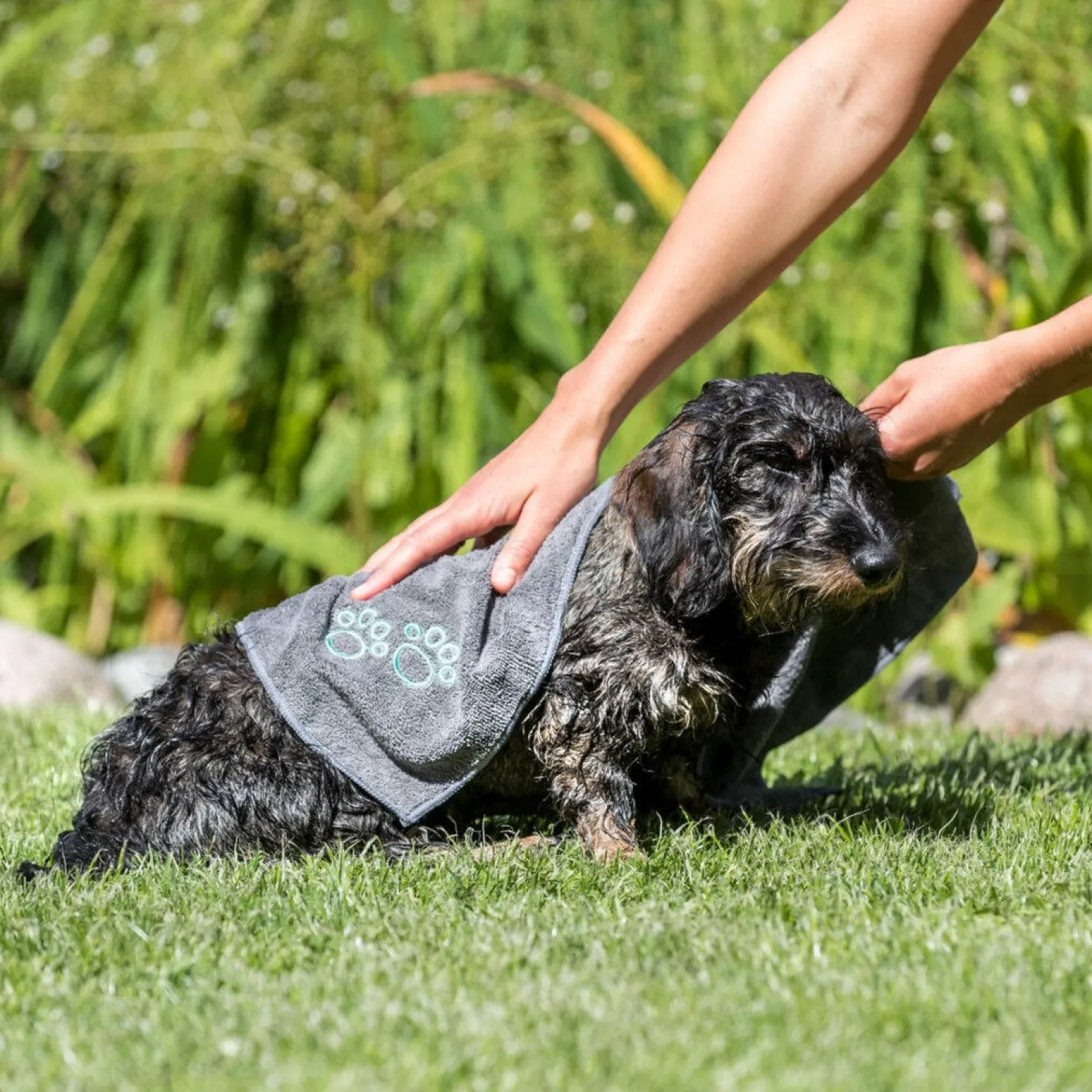 Serviette de séchage en microfibre chien, chat