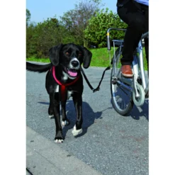 Set d'attache velo pour chien