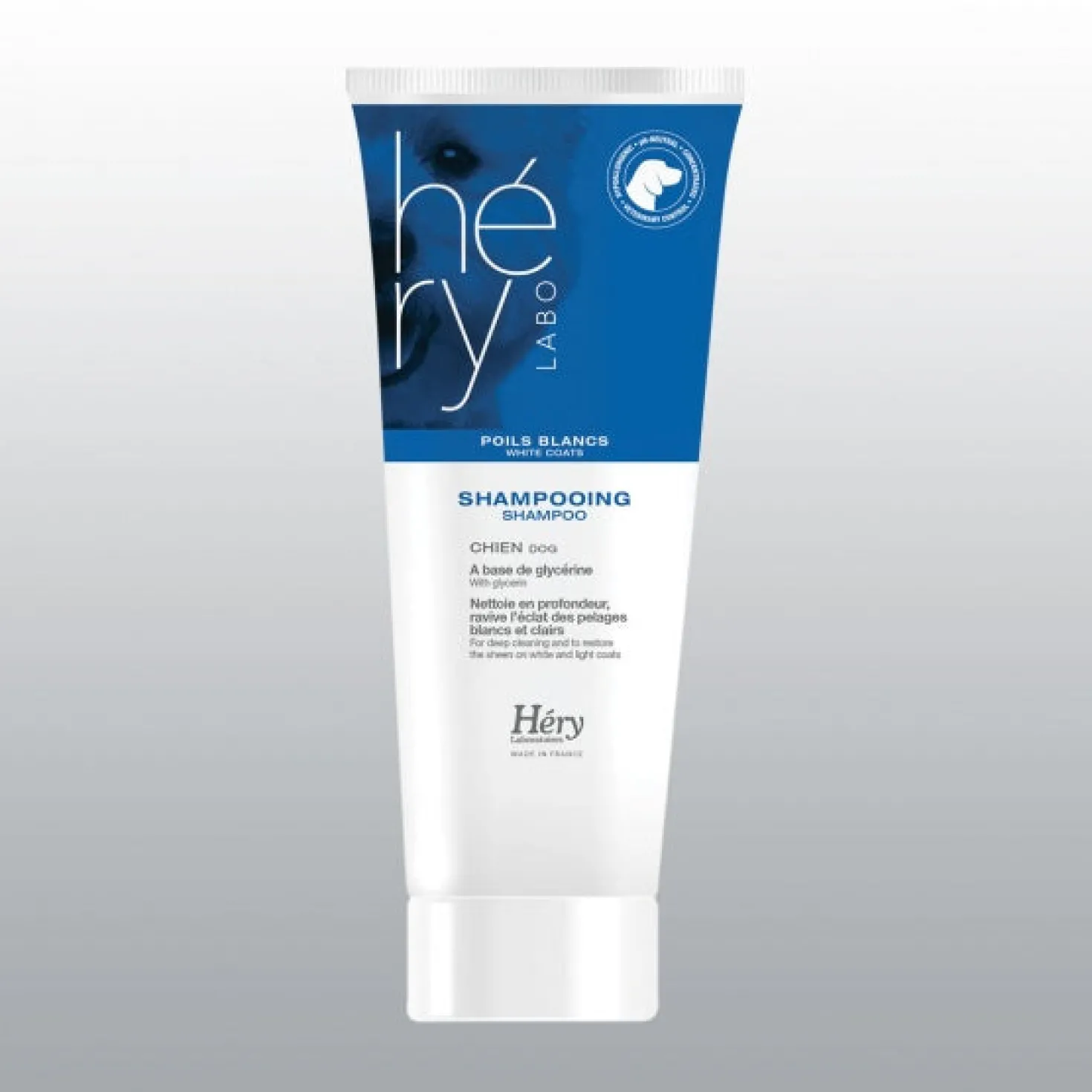 Shampoing chien héry poils blanc