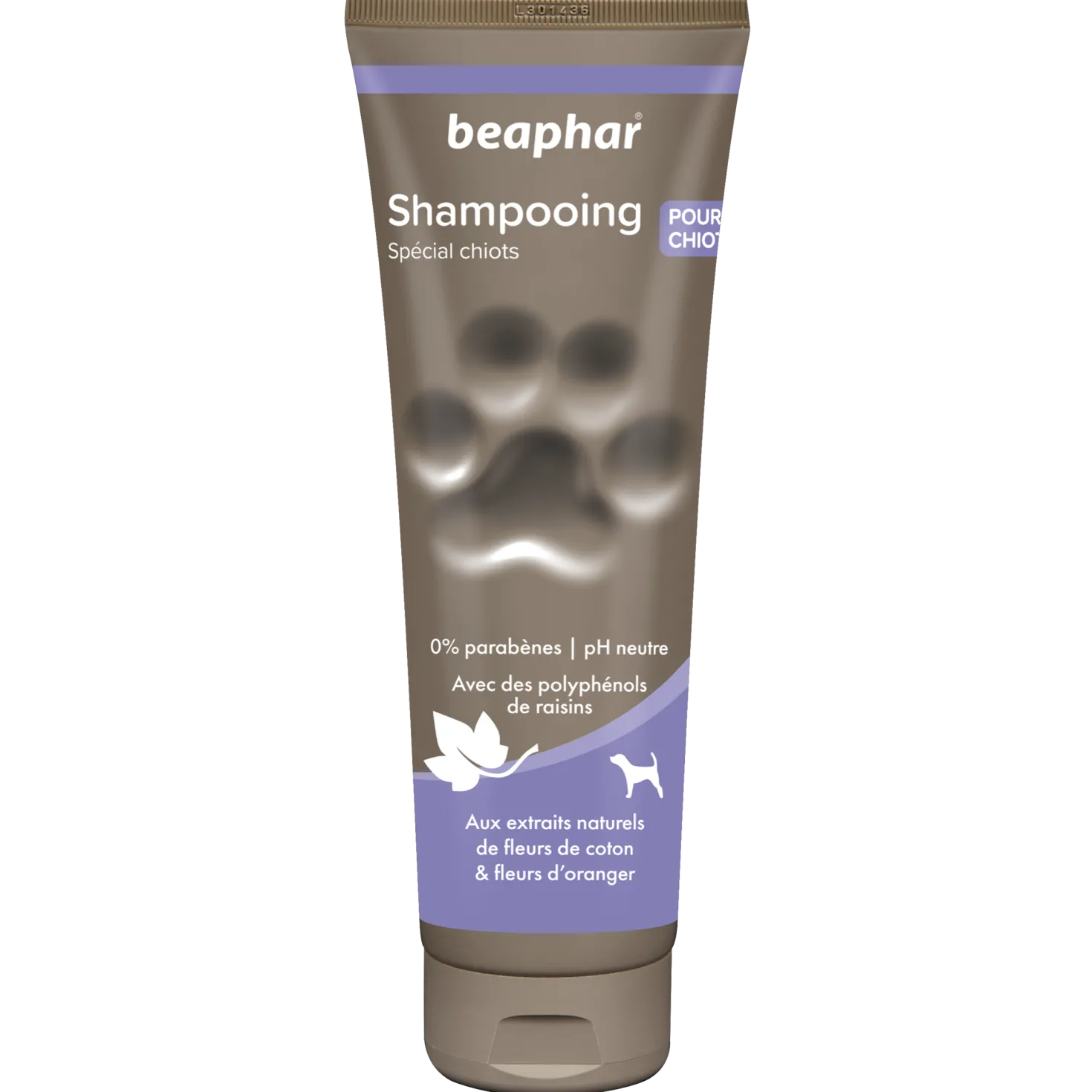 Shampooing spécial chiot