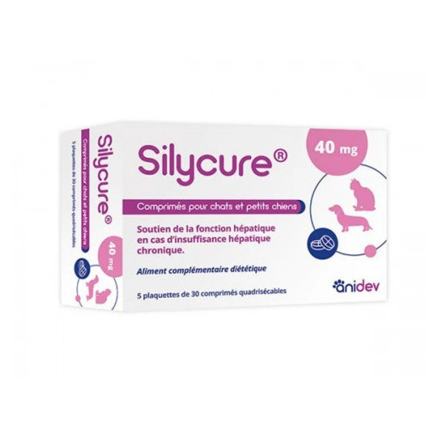 Silycure chat, petit chien