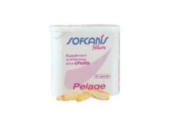Sofcanis Pelage chat