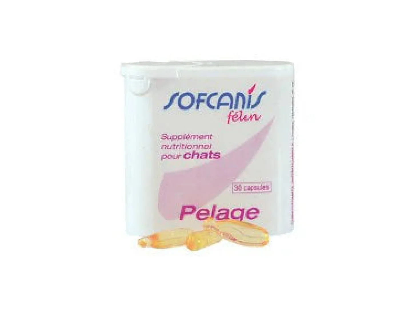 Sofcanis Pelage chat