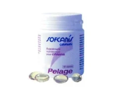Sofcanis Pelage Chien
