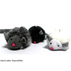 Souris couinante chat