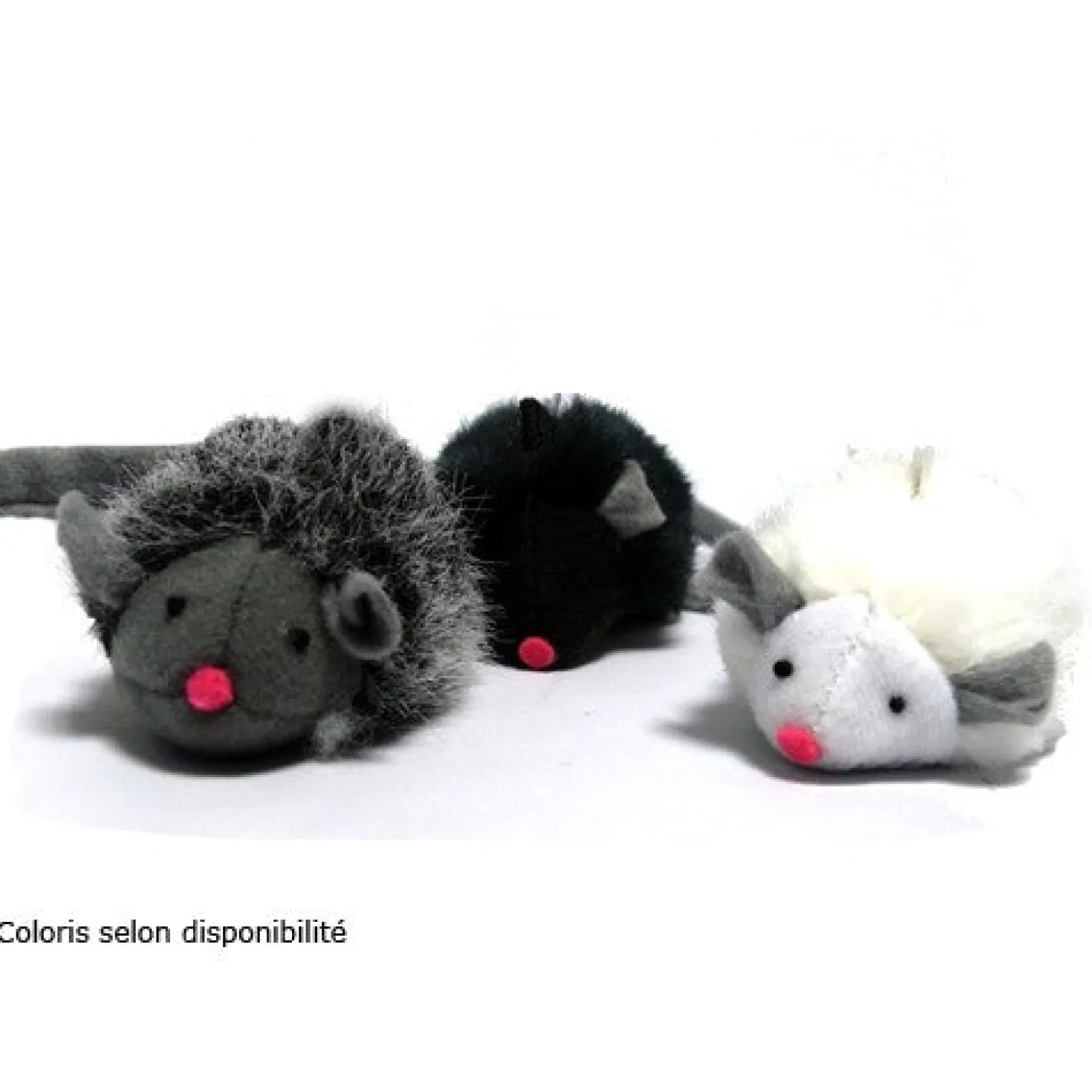 Souris couinante chat