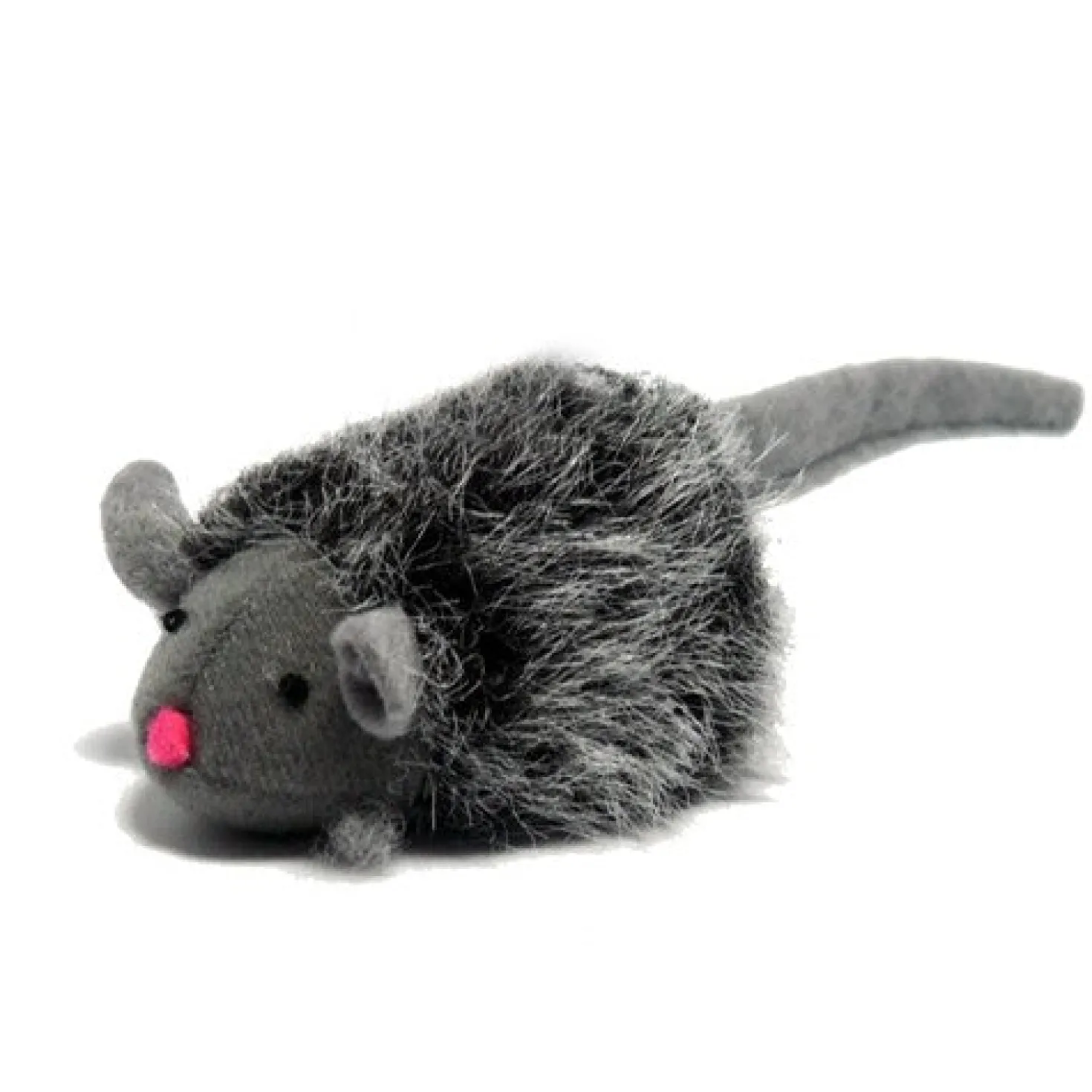 Souris couinante chat