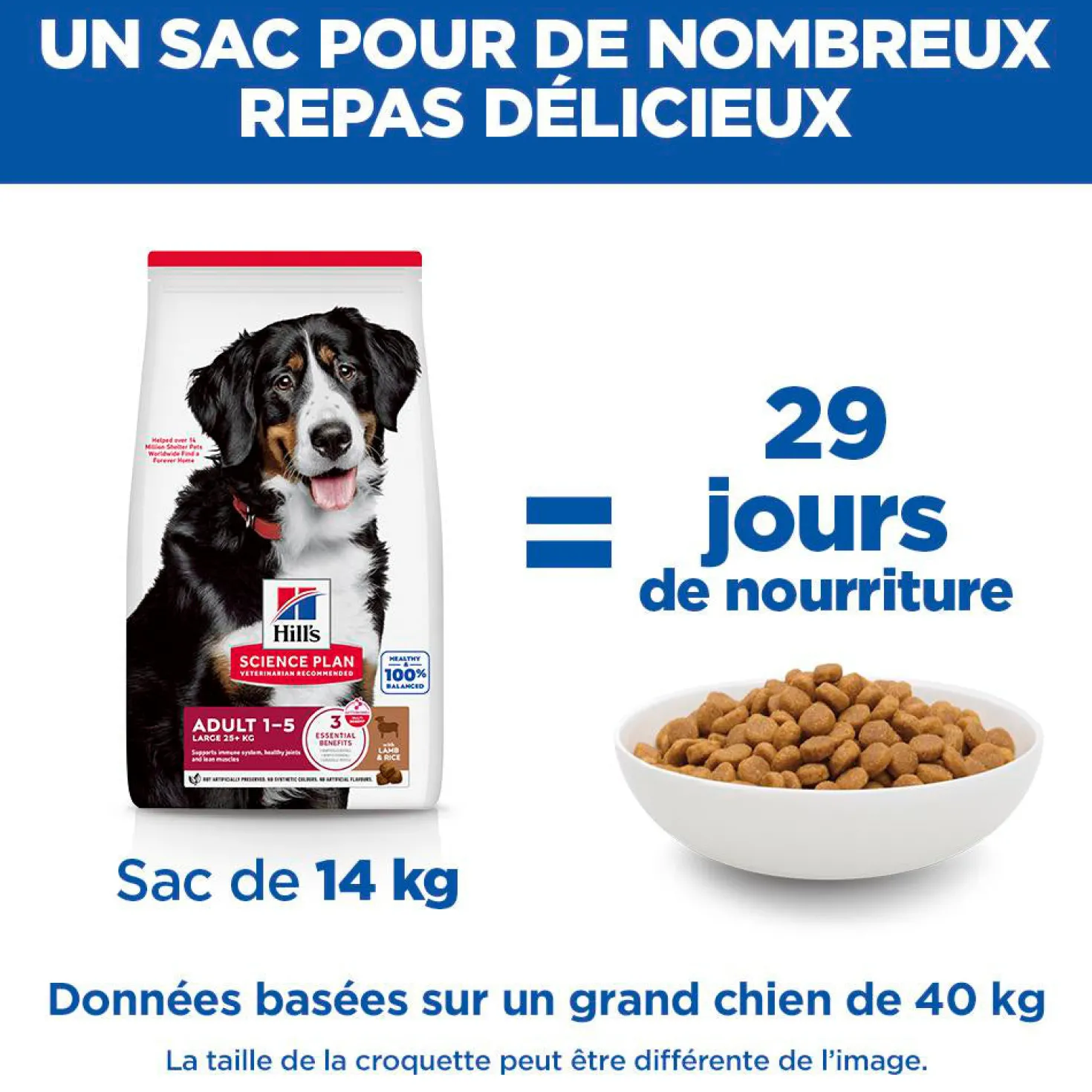 Sp Chien Adulte 1-5 Large Lambrice