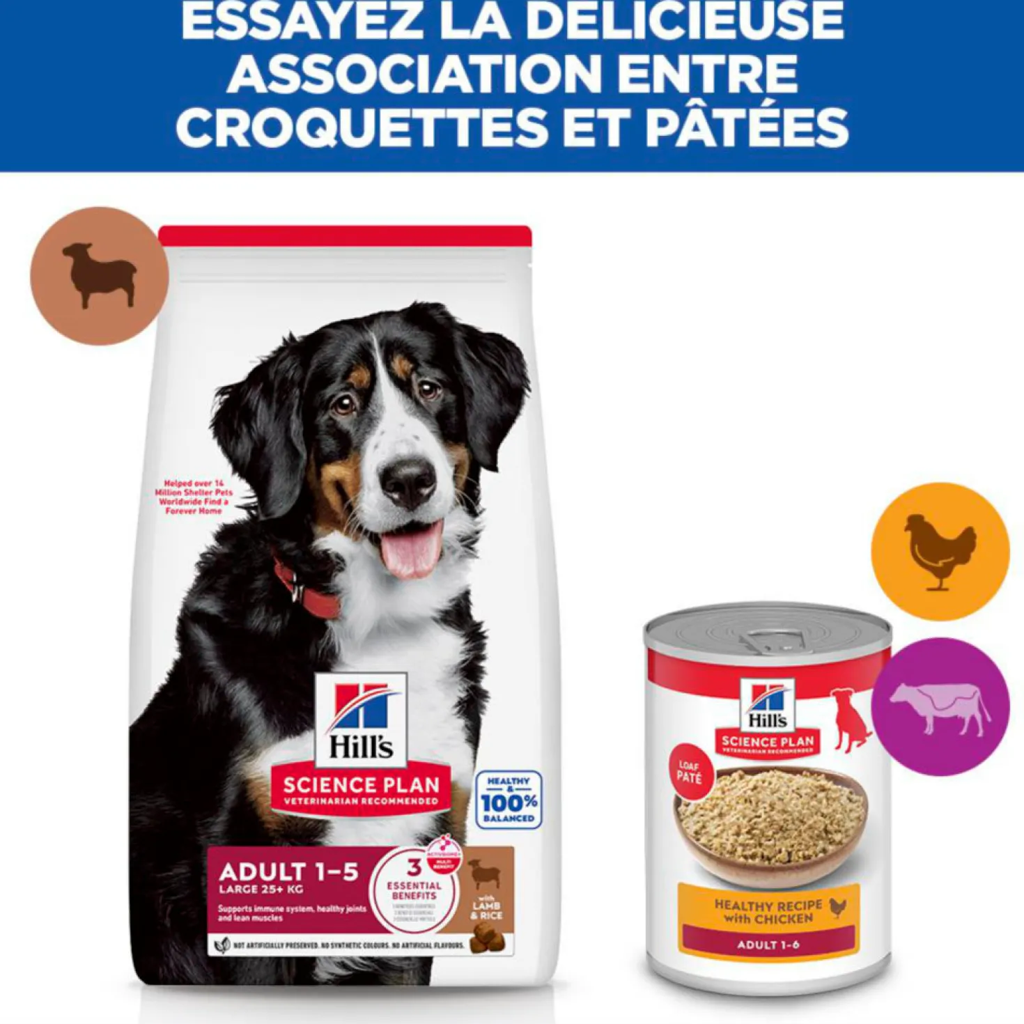 Sp Chien Adulte 1-5 Large Lambrice