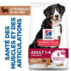 Sp Chien Adulte 1-5 Large Lambrice