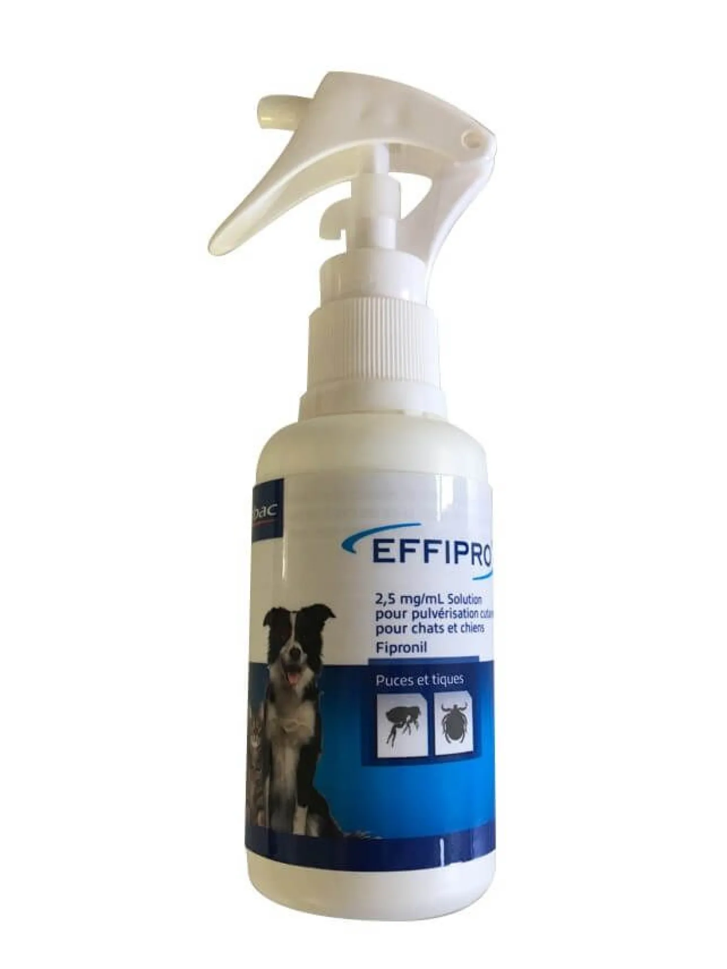 Spray antiparasitaire chat, chien