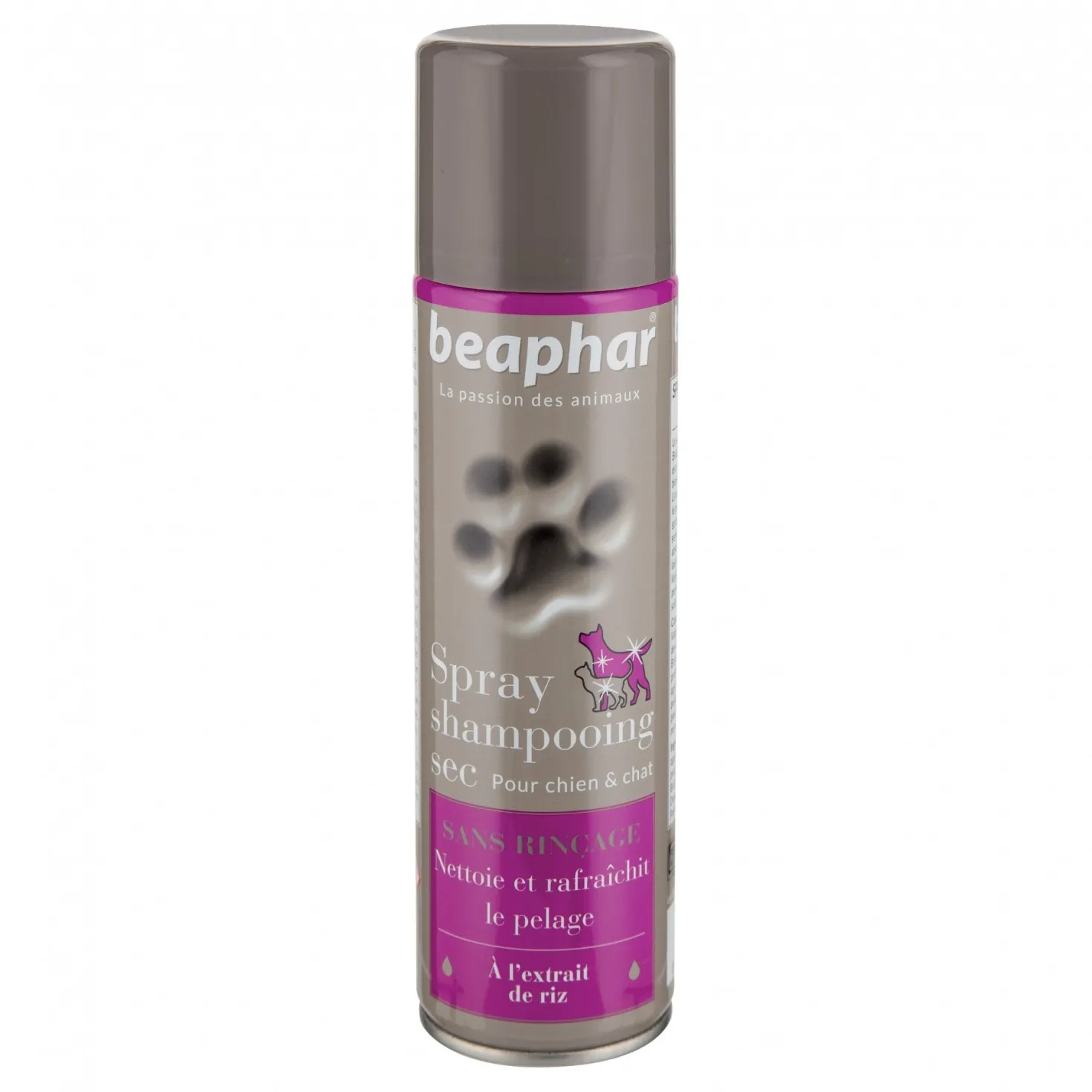 Spray shampooing sec chien, chat