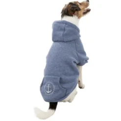 Sweat Be Nordic Flensburg bleu chien