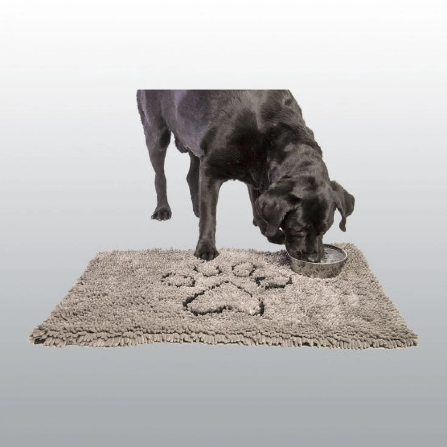 Tapis absorbant chien