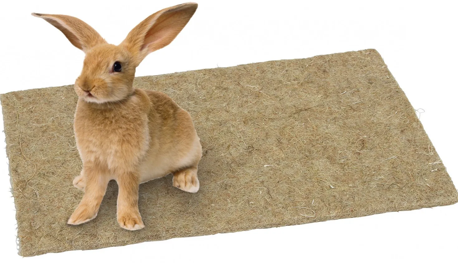 Tapis de chanvre