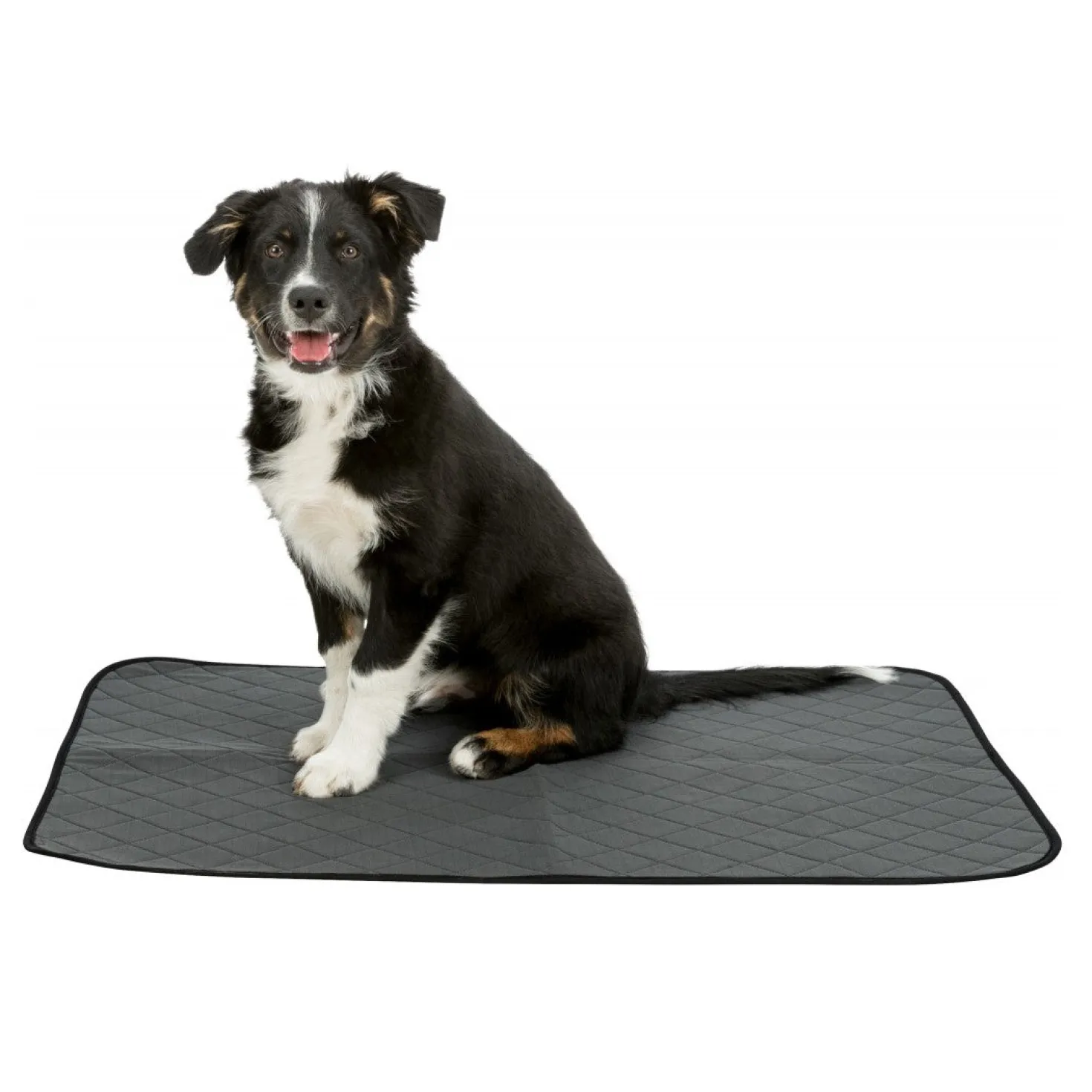 Tapis éducateur Nappy Wash chien