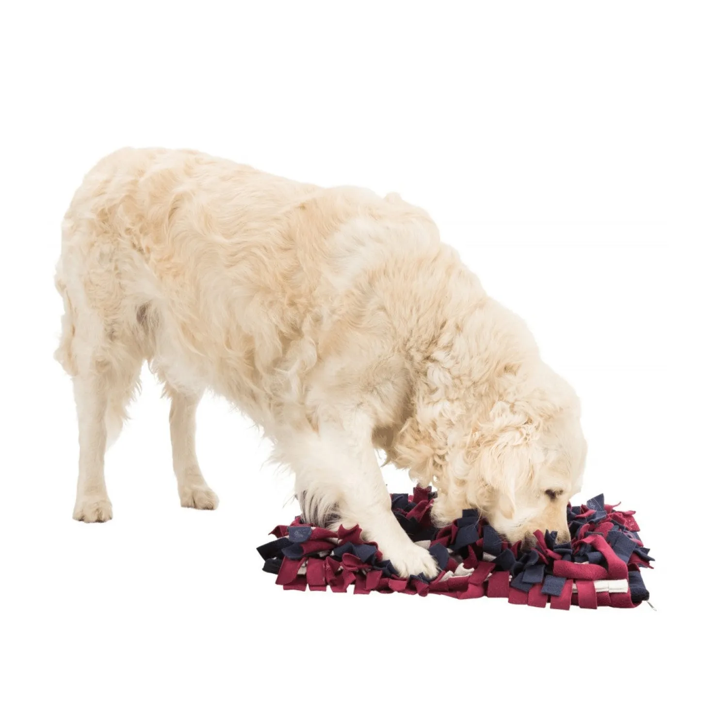 Tapis à renifler Trixie chien