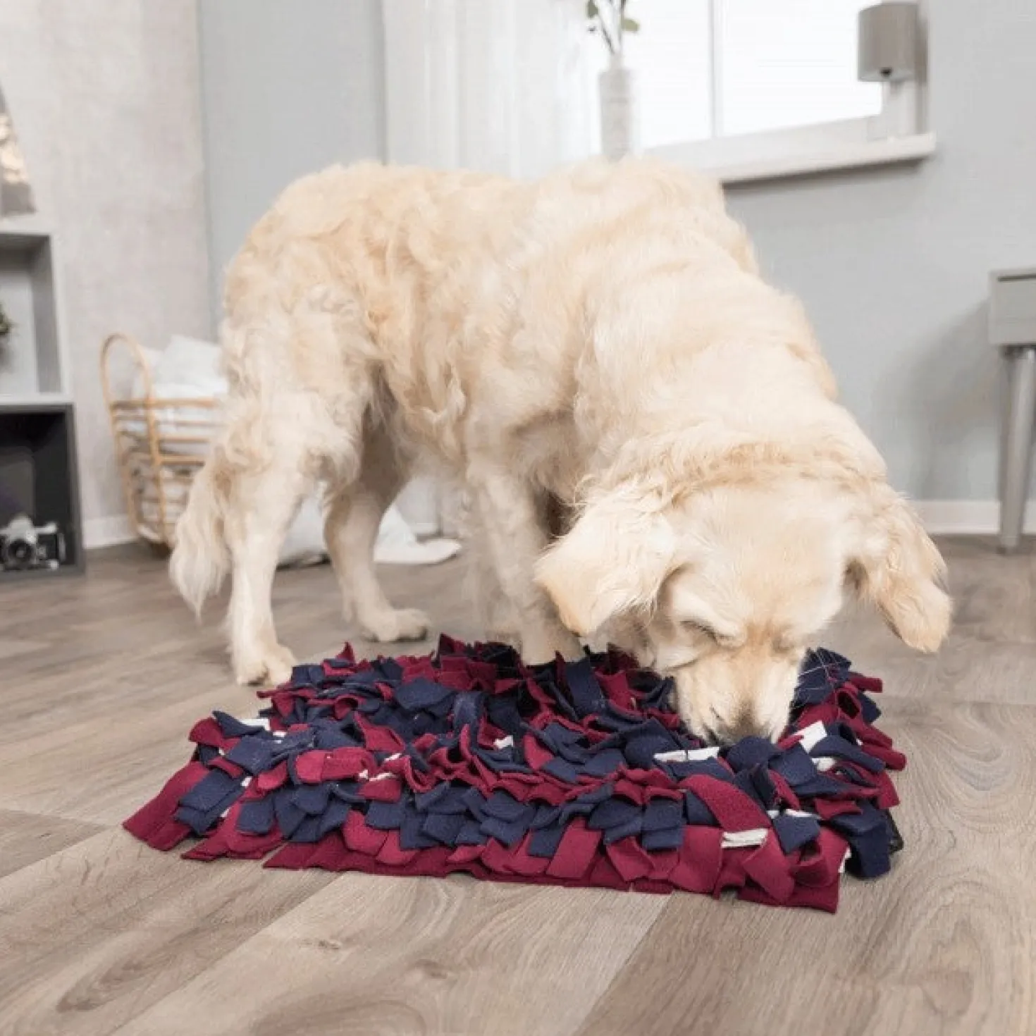 Tapis à renifler Trixie chien