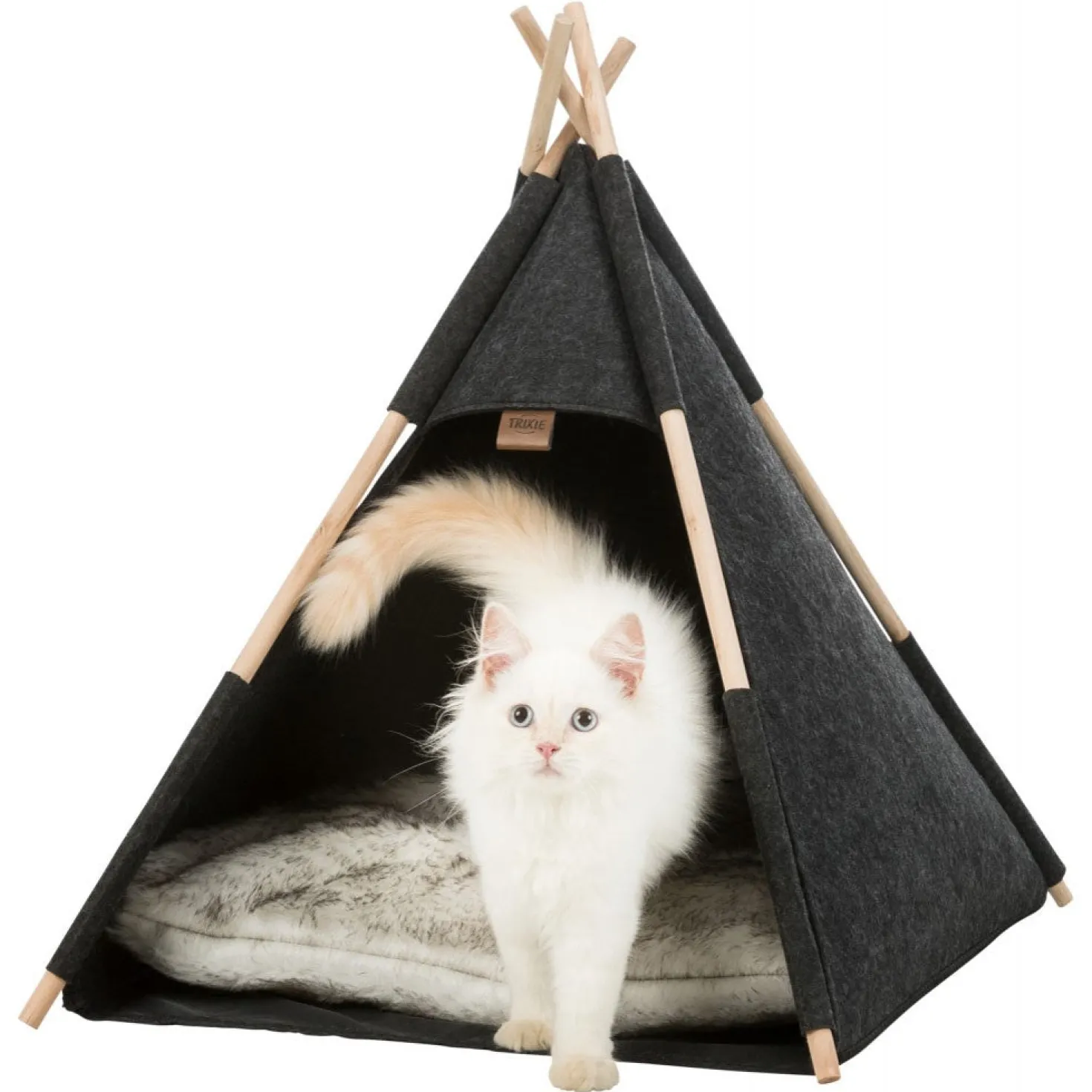 Tipi Feutri
