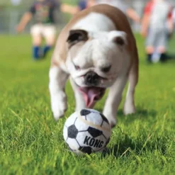 Trio de balles Sport Kong chien