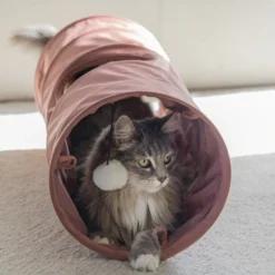 Tunnel Cylla Rose