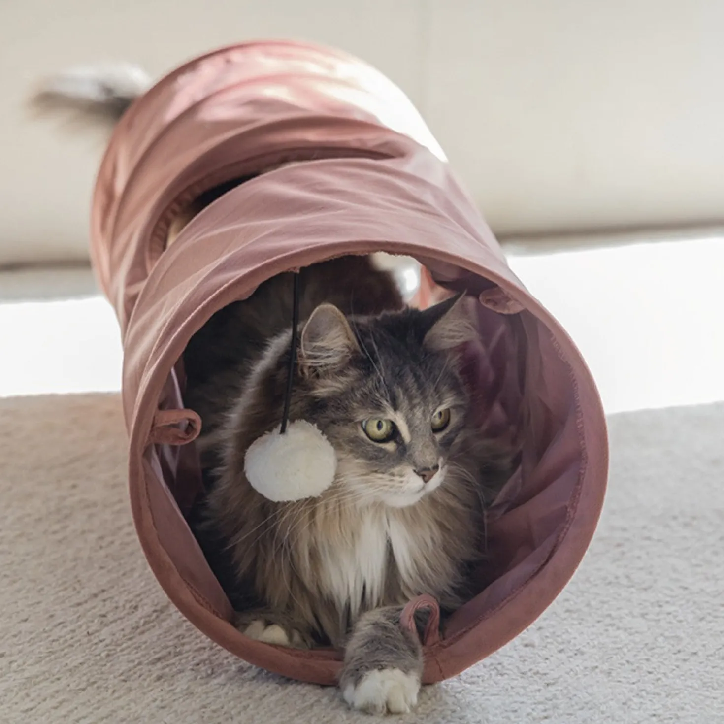 Tunnel Cylla Rose