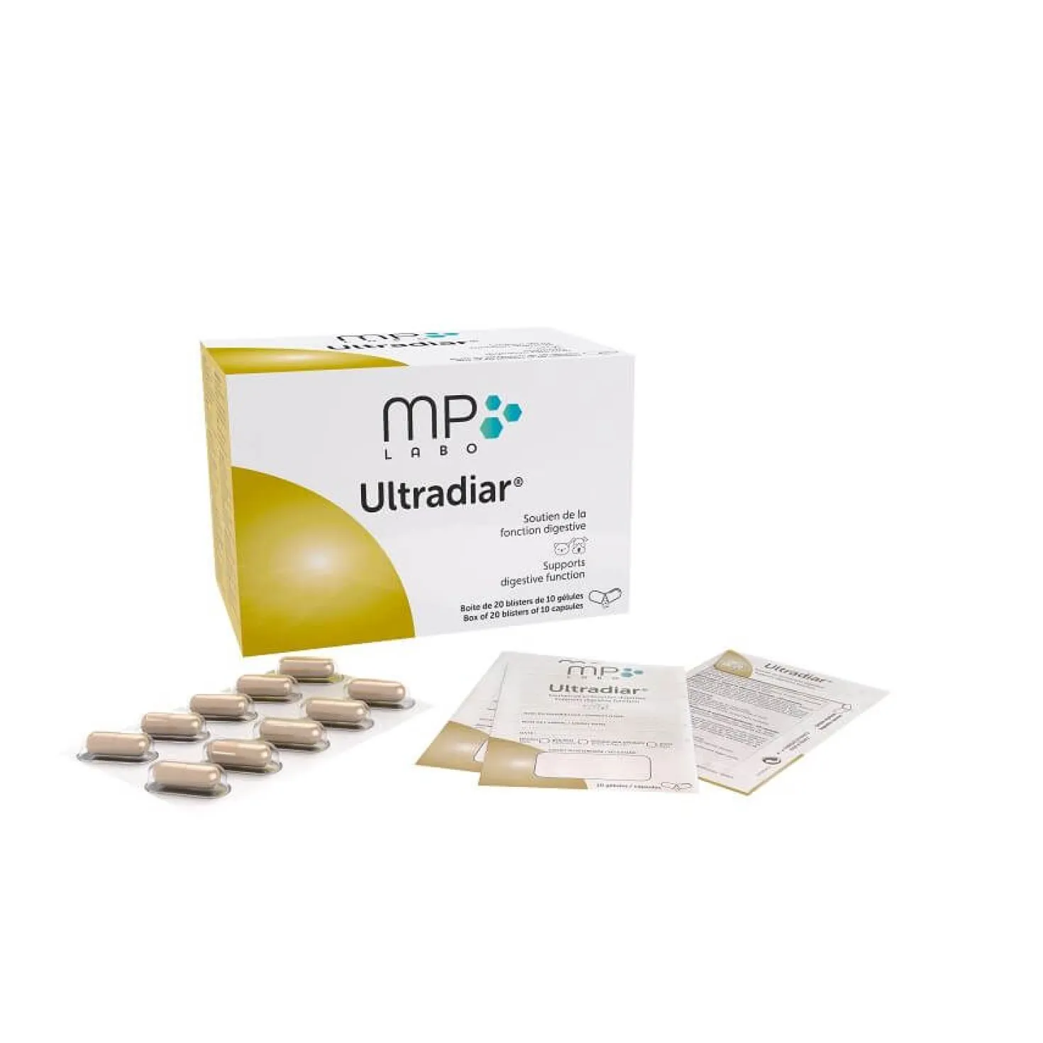 Ultradiar chat, chien