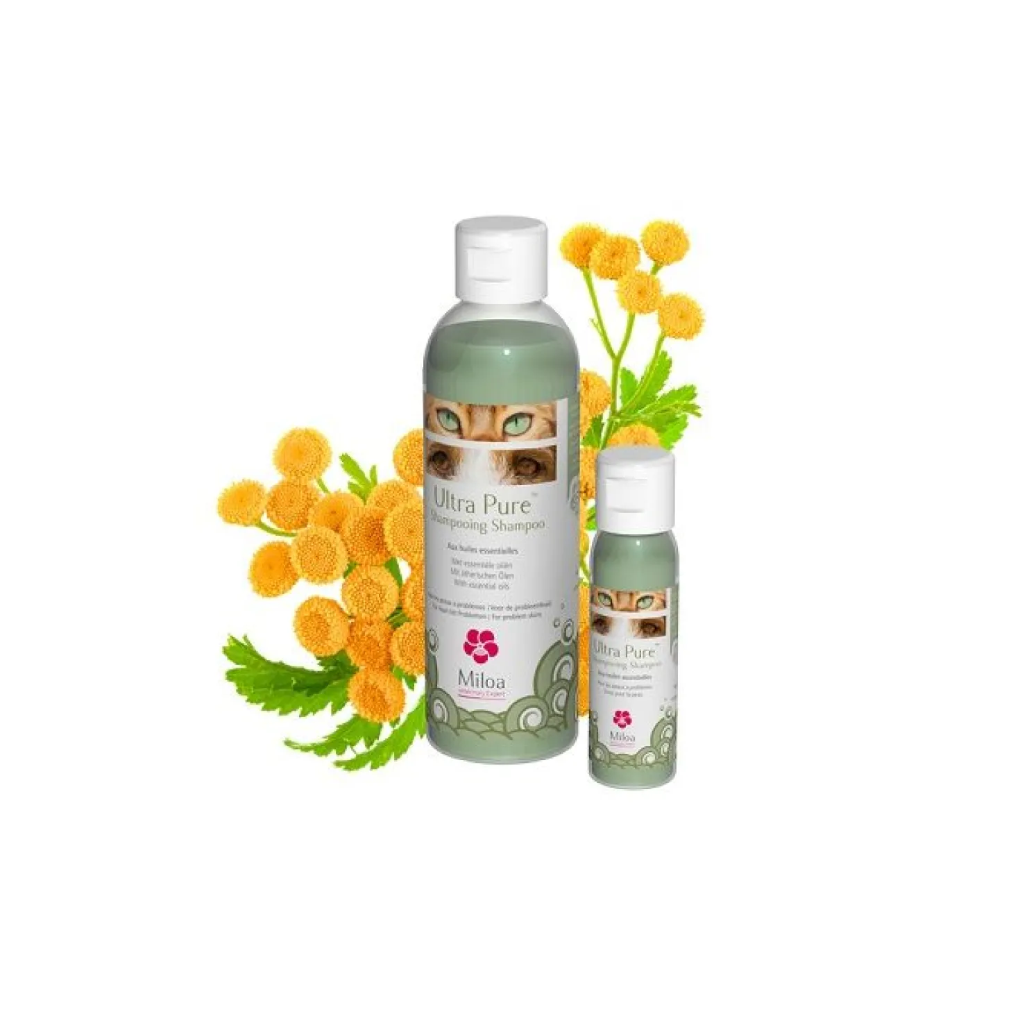 Ultra Pure Shampoing