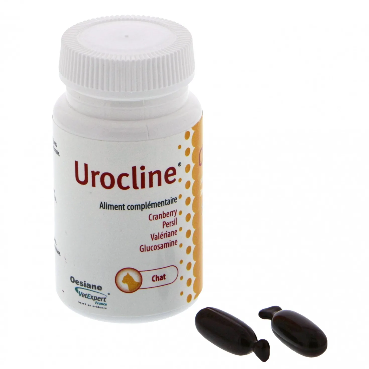 Urocline Chat