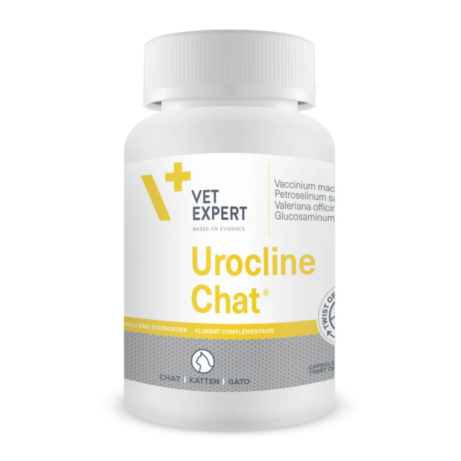 Urocline Chat
