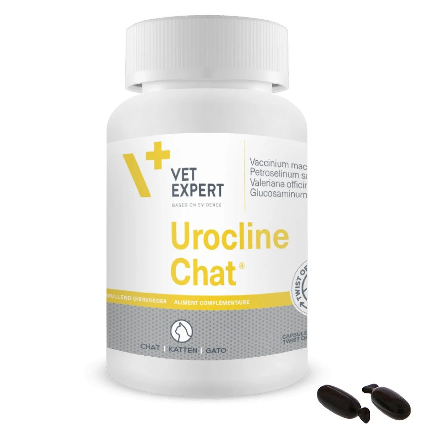 Urocline Chat