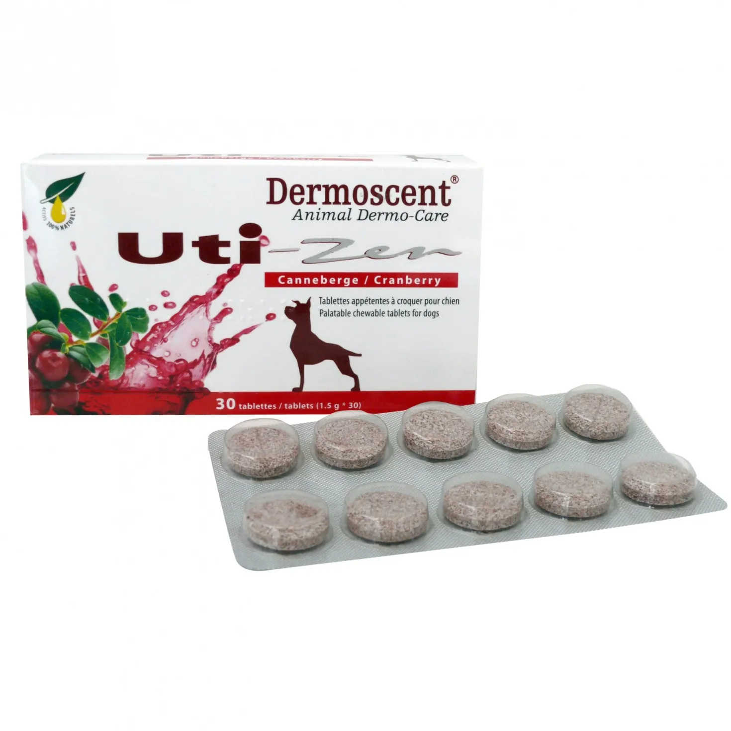 Uti-Zen chien, chat