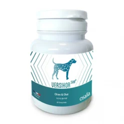 Versikor 500® - chien et chat