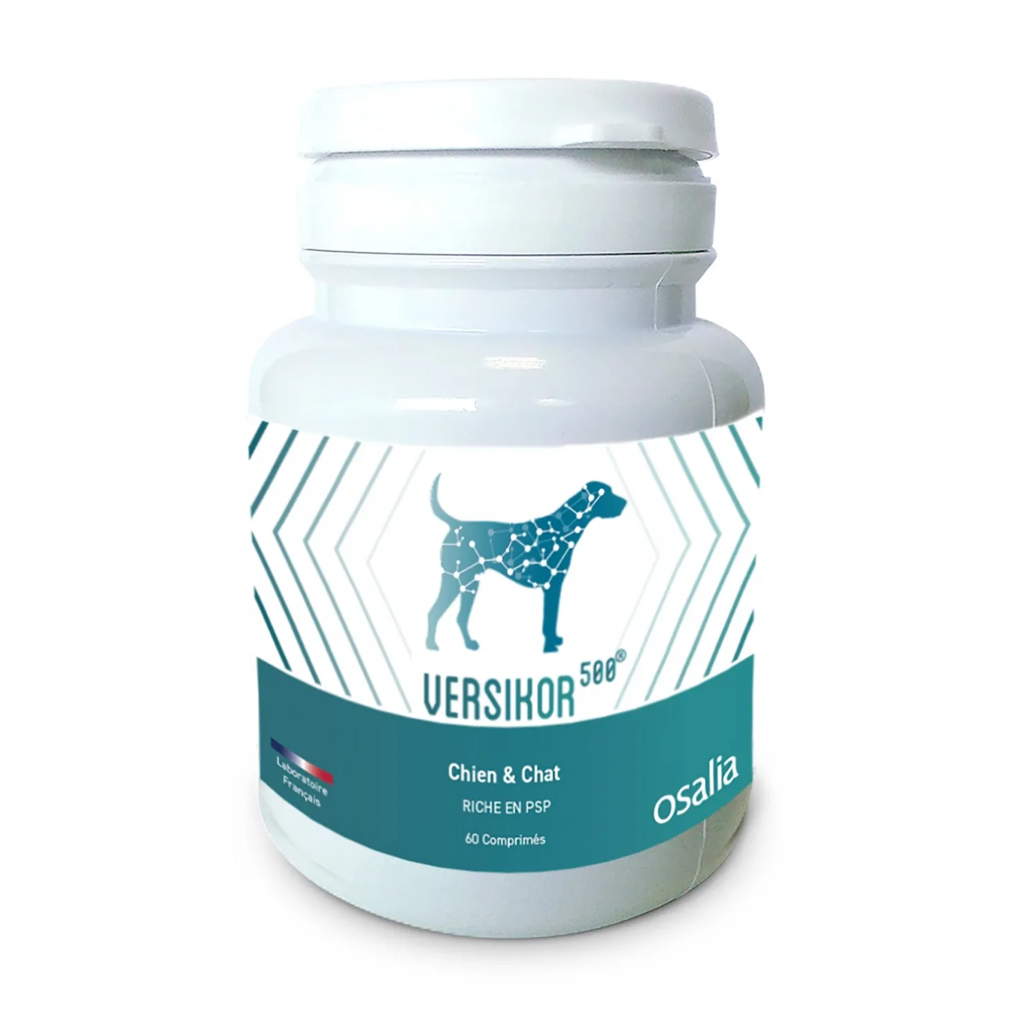 Versikor 500® - chien et chat