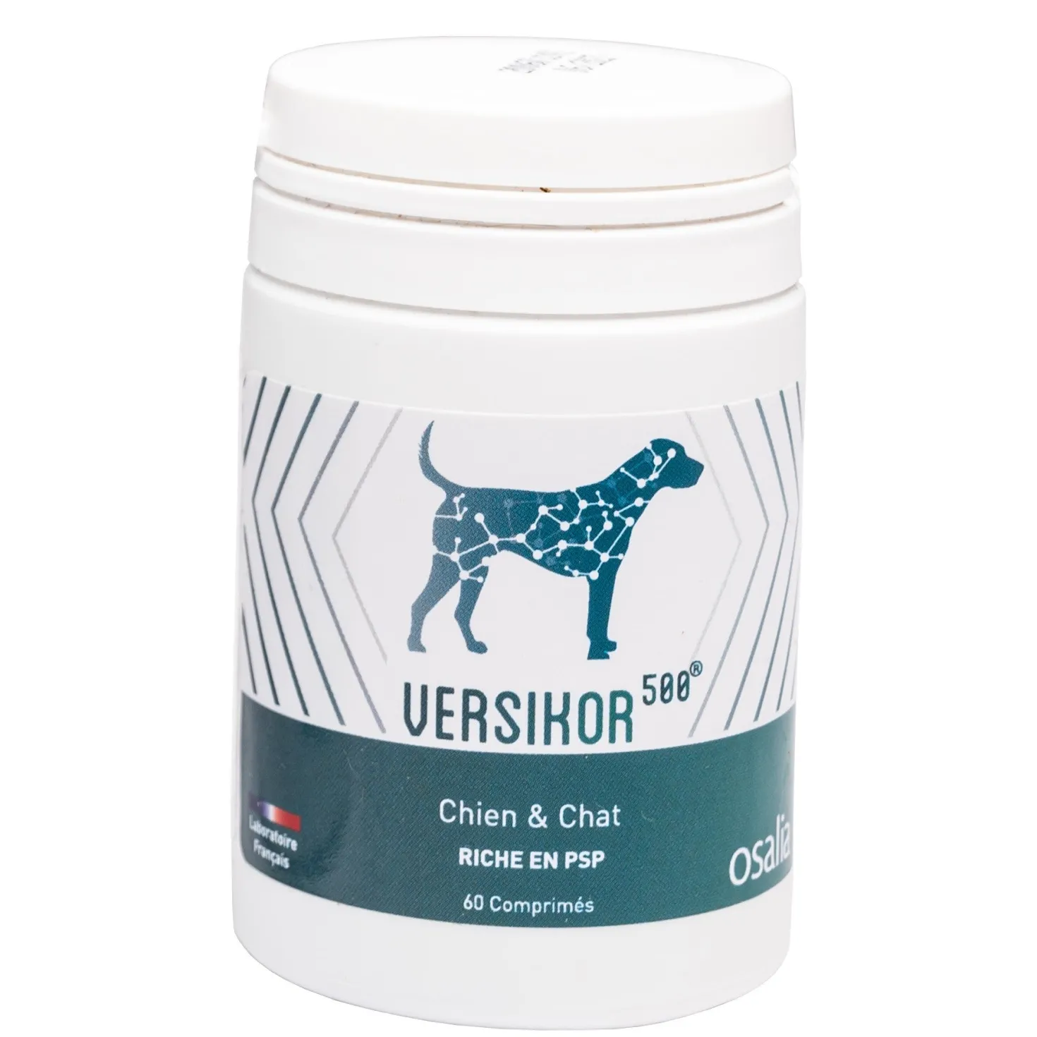 Versikor 500® - chien et chat