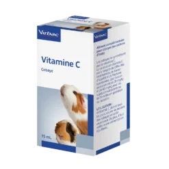 Vitamine C cobaye