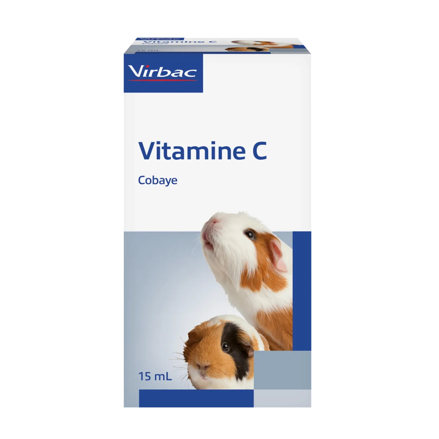 Vitamine C cobaye