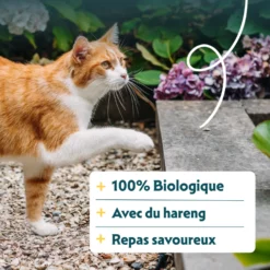 Yarrah bio - croquettes chat